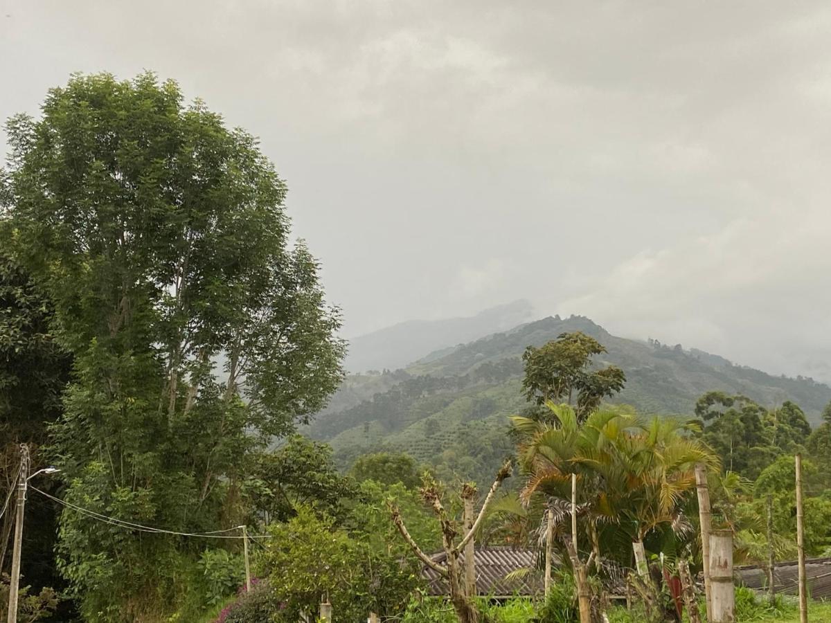 サレント Casa Roma - La Tranquilidad Del Campo En La Ciudad - Rnt 1 0 8 1 3 7-ヴィラ エクステリア 写真